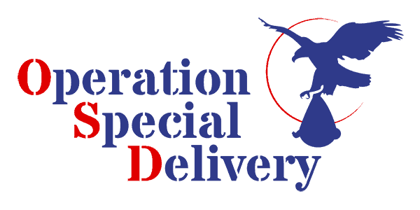 WebBabyShower Operation Special Delivery