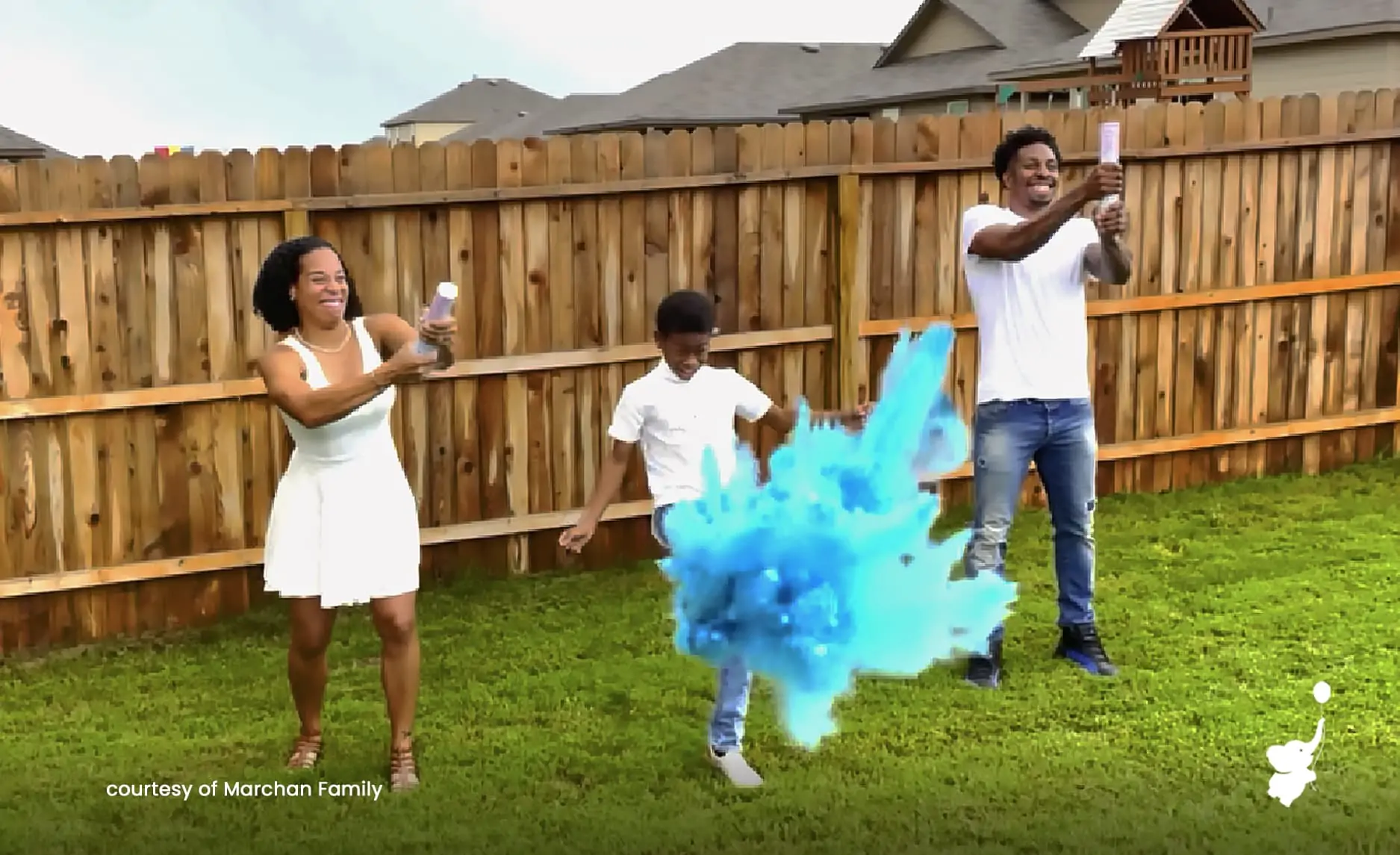 webbabyshower header image long distance gender reveal ideas