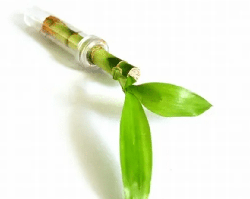 virtual baby shower favors for guests