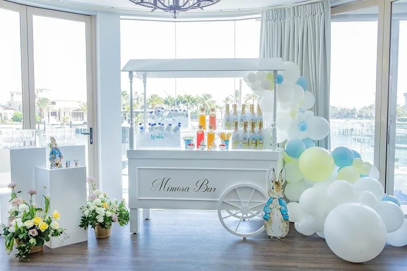 baby shower theme for boys