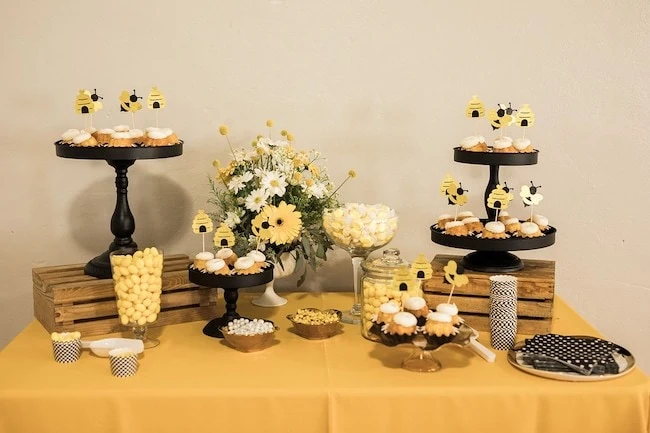 boy baby shower theme