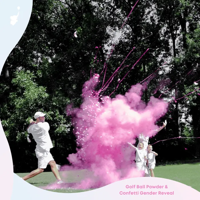 wbs gender reveal ideas