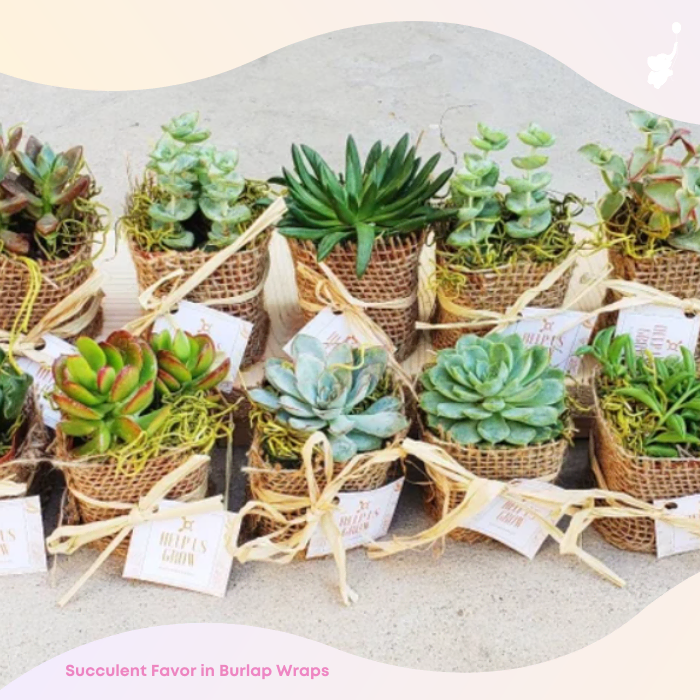 wbs boho baby shower favor