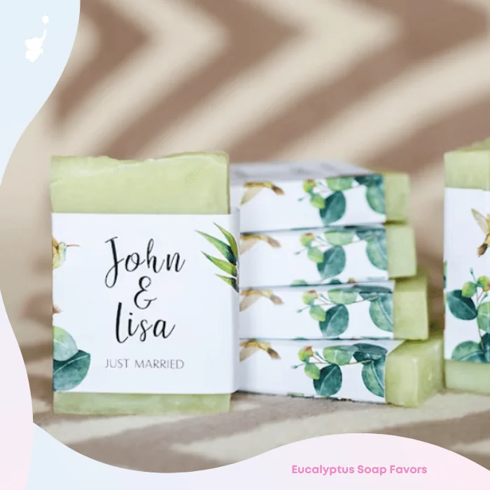 wbs succulent baby shower favor