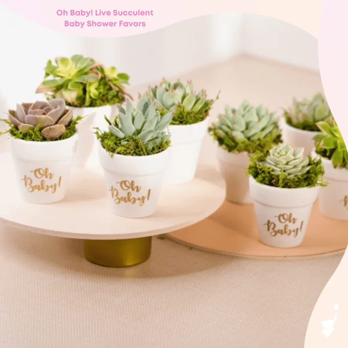 wbs succulent baby shower favor