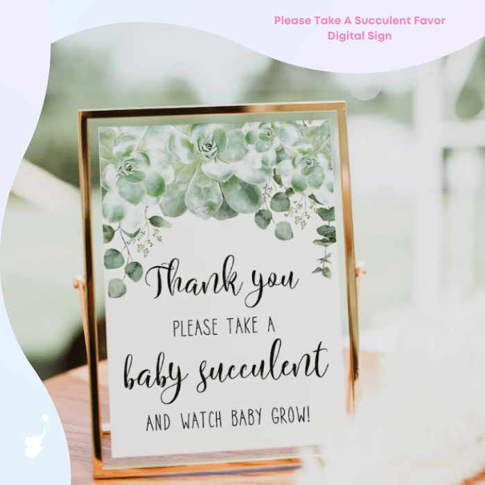 wbs succulent baby shower favor