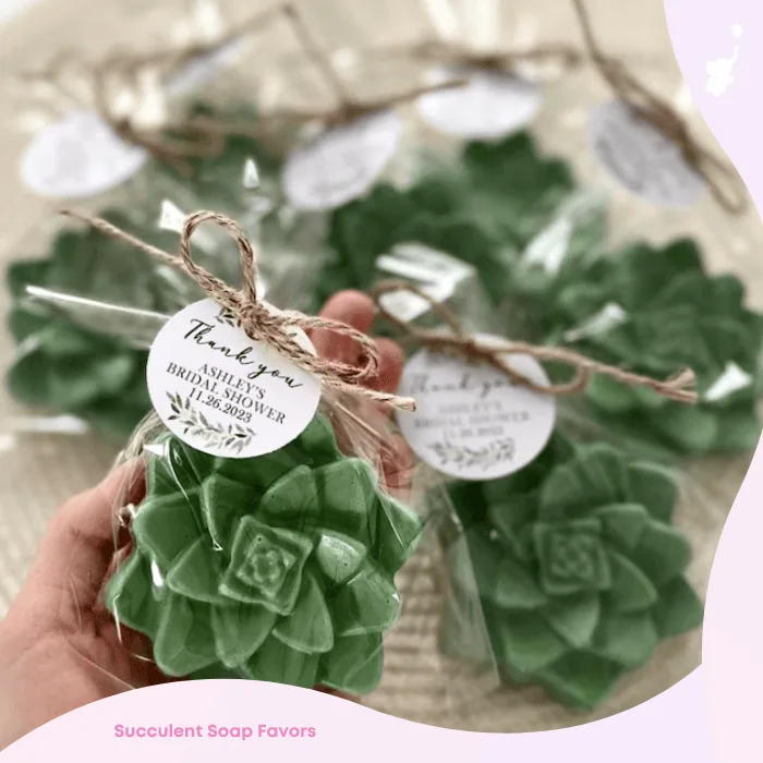 wbs succulent baby shower favor