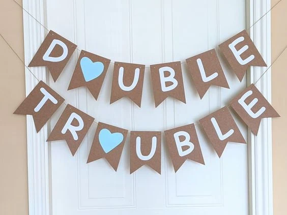 wbs twin baby shower themes