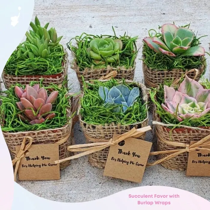 wbs burlap succulent baby shower favor