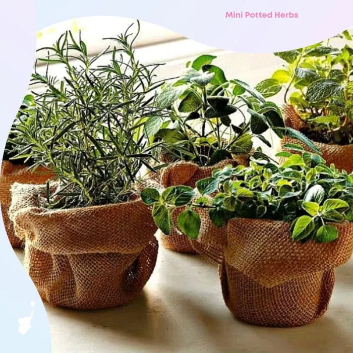 webbabyshower baby shower prizes