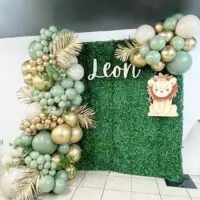 a picture of a jungle baby shower organized by Bash Events TC in Washinton
