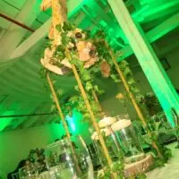 a picture of a jungle baby shower organized by Milan Event experience in Long Island