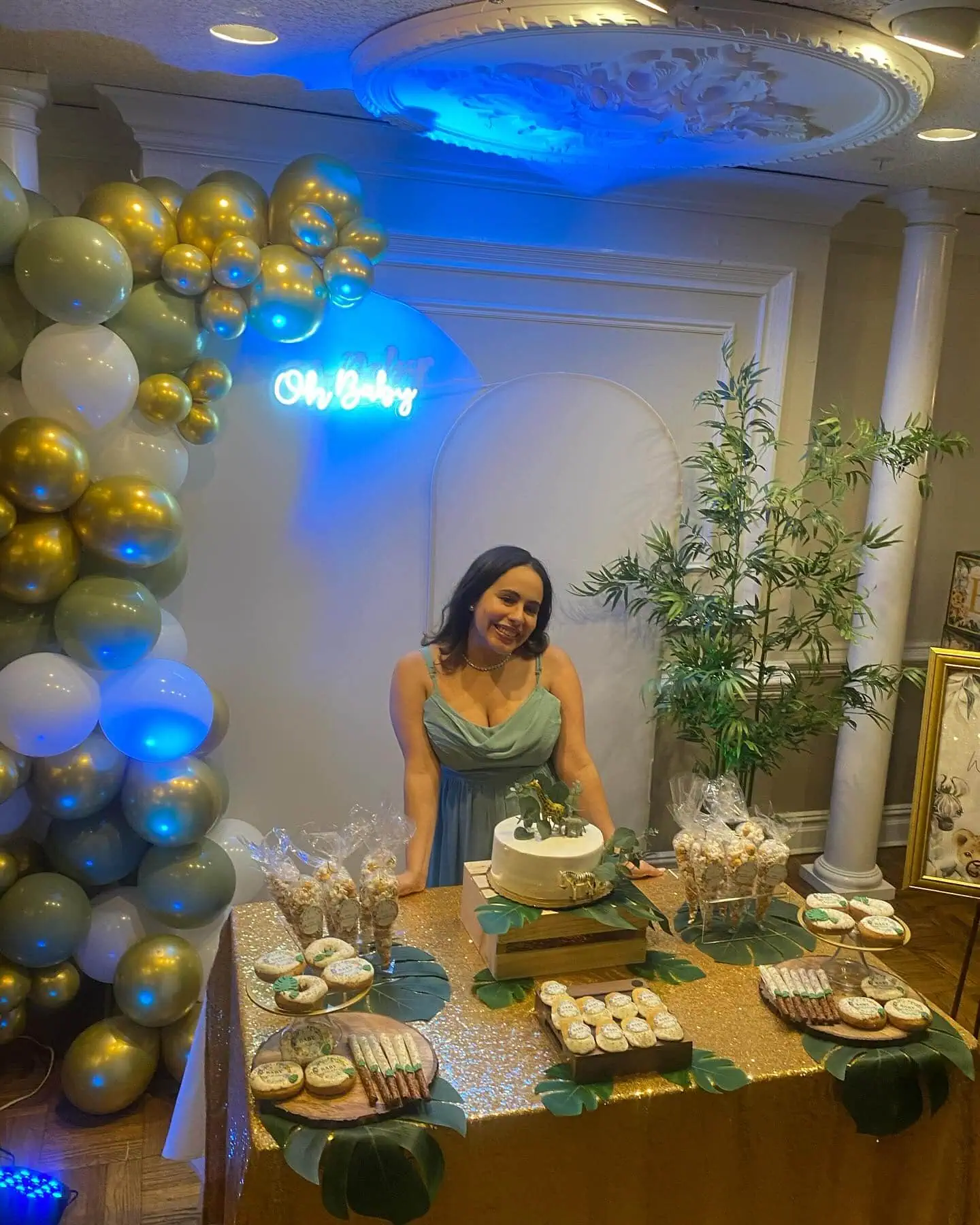 a picture of a safari baby shower organized by Shelly's Sweet Events in Queens