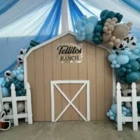 Farm baby shower theme 17 | WebBabyShower