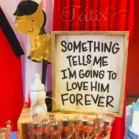 Farm baby shower theme 36 | WebBabyShower