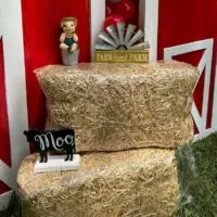 Farm baby shower theme 41 | WebBabyShower