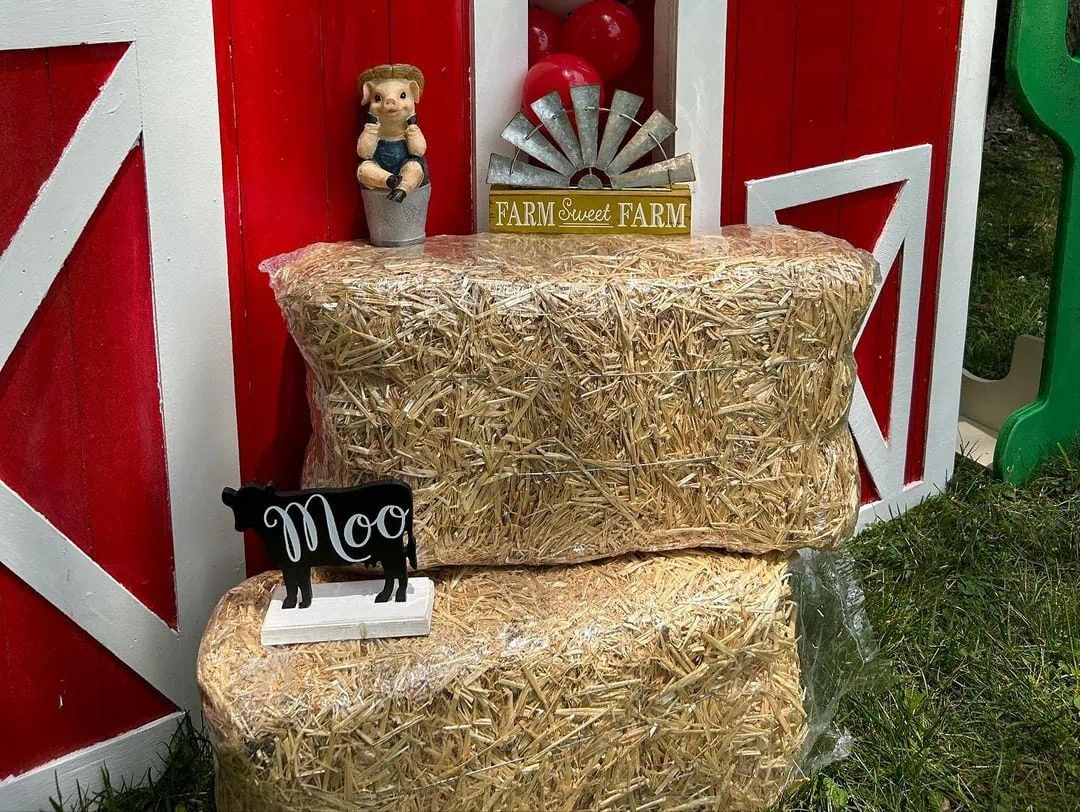 Farm baby shower theme 41 | WebBabyShower