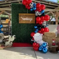 Farm baby shower theme 8 | WebBabyShower