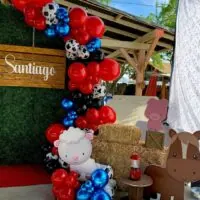 Farm baby shower theme 9 | WebBabyShower