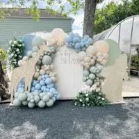 Safari baby shower theme 1 | WebBabyShower