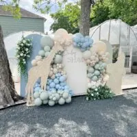 Safari baby shower theme 2 | WebBabyShower