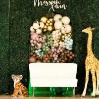 Safari baby shower theme 20 | WebBabyShower