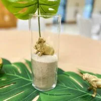 Safari baby shower theme 22 | WebBabyShower