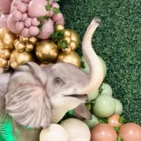 Safari baby shower theme 24 | WebBabyShower