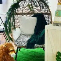 Safari baby shower theme 29 | WebBabyShower