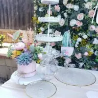 Succulent baby shower theme 10 | WebBabyShower