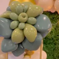 Succulent baby shower theme 25 | WebBabyShower