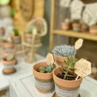 Succulent baby shower theme 28 | WebBabyShower