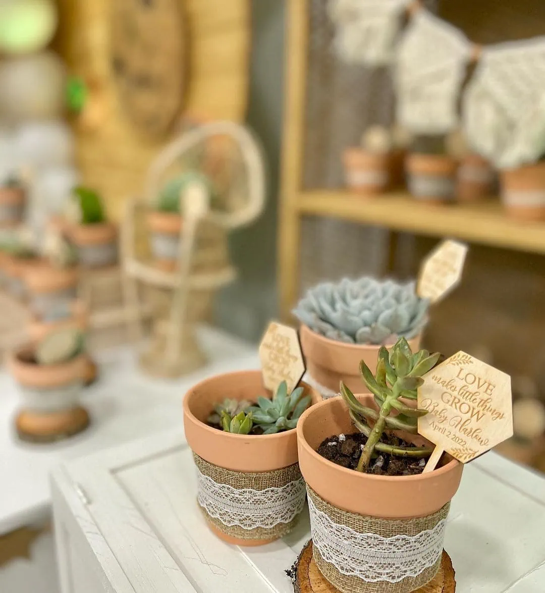 Succulent baby shower theme 28 | WebBabyShower