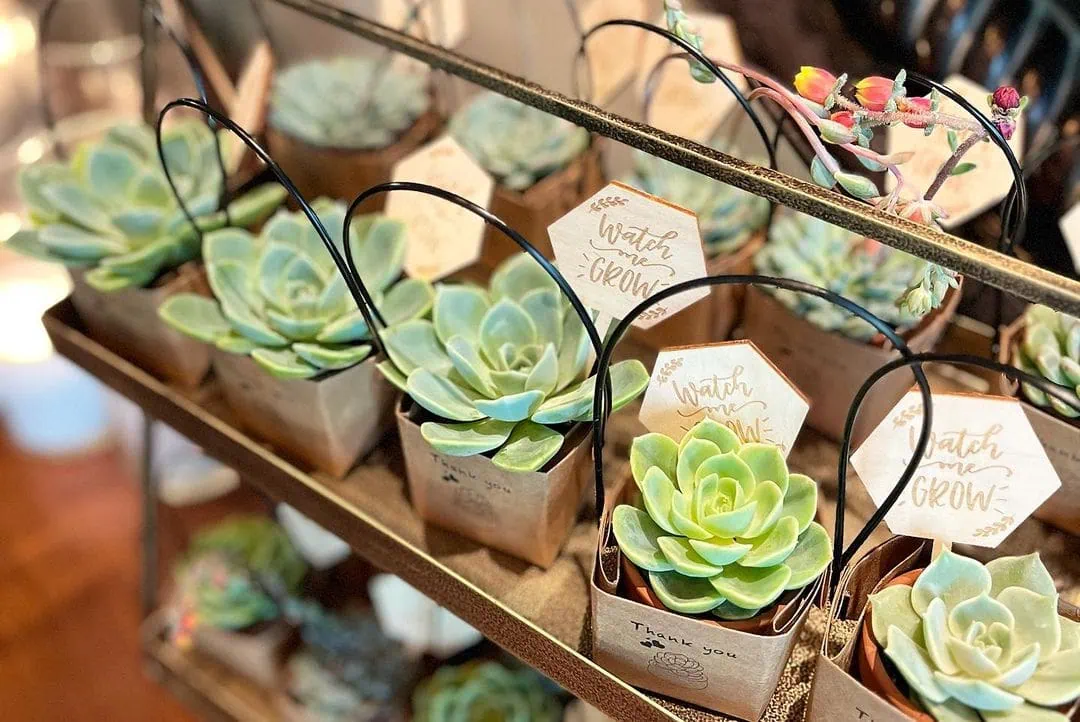 Succulent baby shower theme 4 | WebBabyShower