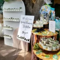 Succulent baby shower theme 40 | WebBabyShower