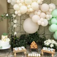 Succulent baby shower theme 5 | WebBabyShower