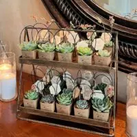 Succulent baby shower theme 6 | WebBabyShower