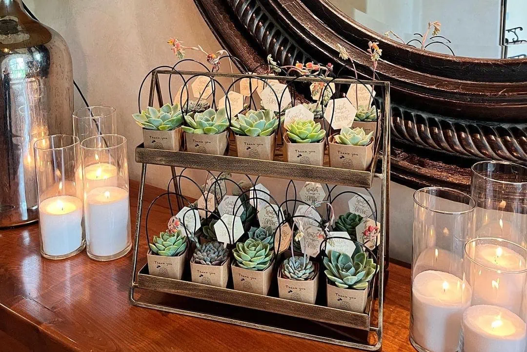 Succulent baby shower theme 6 | WebBabyShower