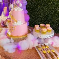 Twinkle twinkle little star theme 4 | WebBabyShower