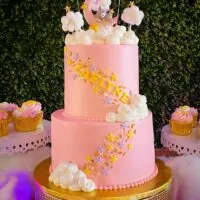 Twinkle twinkle little star theme 8 | WebBabyShower