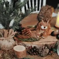 Woodland baby shower theme 3 | WebBabyShower