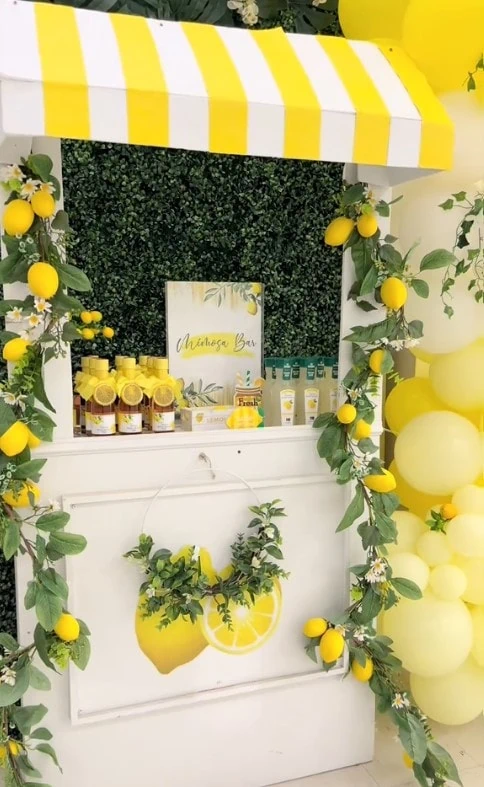 wbs june baby shower ideas